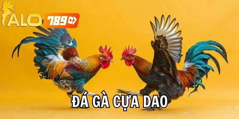 Alo789 Đá Gà Trực Tiếp – Cá Cược Live Uy Tín Hàng Đầu
